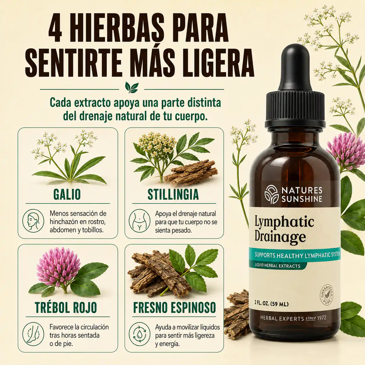 Drenaje Linfático Nature’s Sunshine | Menos Retención de Líquidos, menos Hinchazón y Siéntete Más Ligera